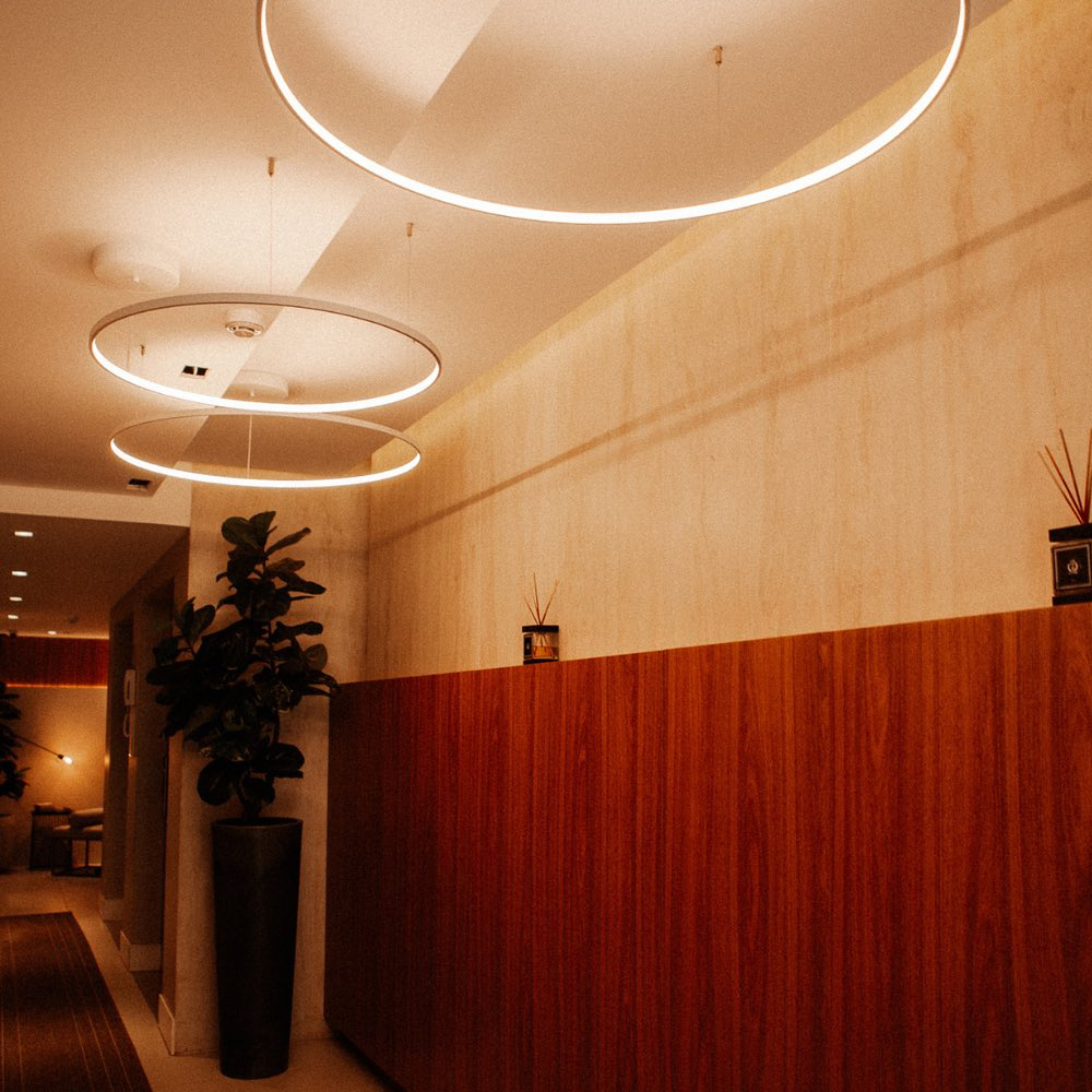 HALL DE ENTRADA